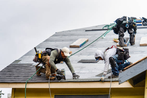Professional Roofing technician working in Hillsboro, IL